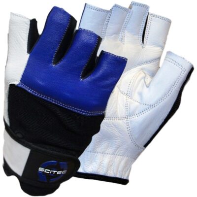 Scitec Nutrition Handschuhe Blue Style S