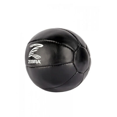 ZEBRA PRO Medizinball Leder 1x 2kg