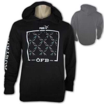 Puma ÖFB Ftblicons Hoody