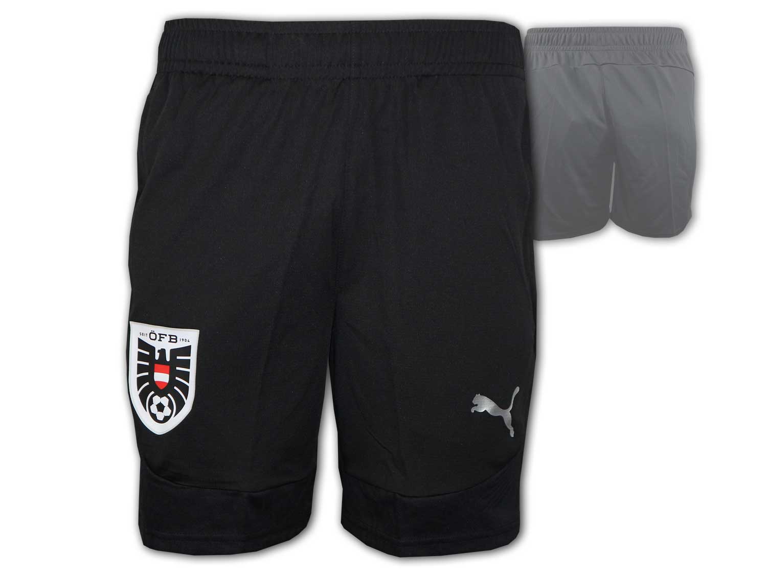 Puma ÖFB Österreich Training Shorts 24