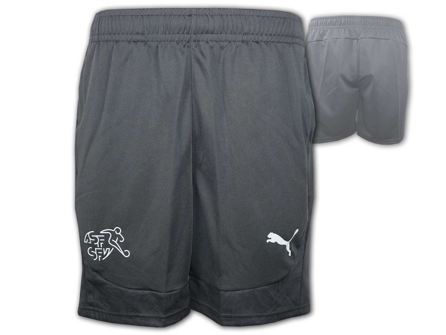 Puma SFV Schweiz Training Shorts 24