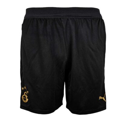 Puma Galatasaray Istanbul Training Shorts 25 26