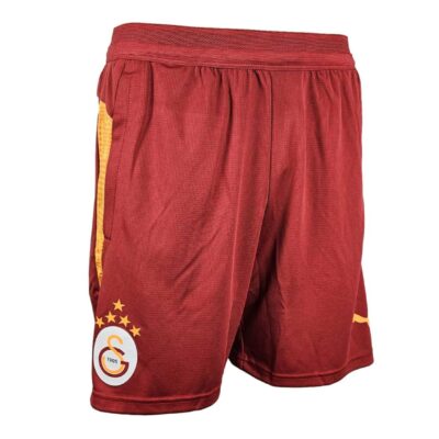 Puma Galatasaray Istanbul Training Shorts 25 26