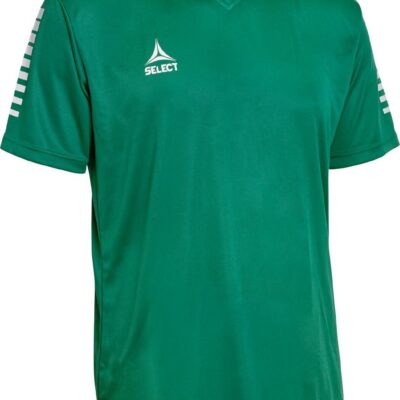 Select Pisa Trikot gruen weiss 8