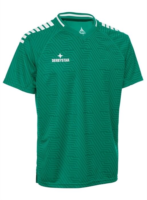 Derbystar Primo Trikot v24 gruen weiss XXL