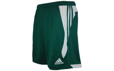 adidas Gol Short