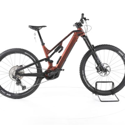 Bulls Sonic EVO EN 1 2021