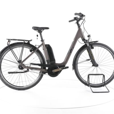 R Raymon CityRay E 2.0 CB 2022