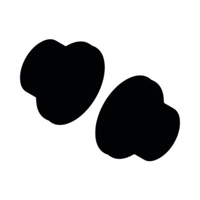 DT Swiss 110/20mm TA