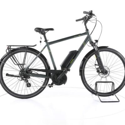 Triumph E-Bird Plus Trekking E-Bike