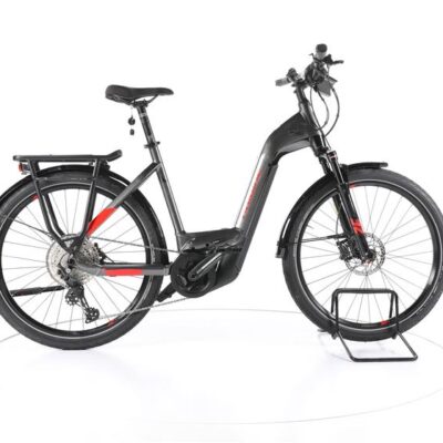 Haibike Trekking 9 Trekking E-Bike Tiefeinsteiger