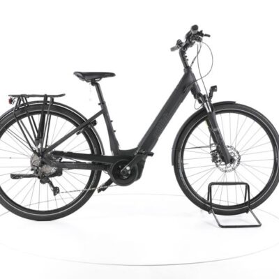 Wittich Bi 10.2 Trekking E-Bike Tiefeinsteiger