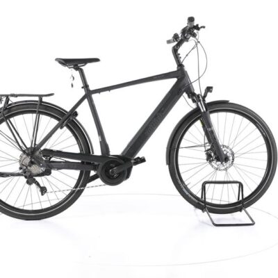 Wittich BI 10.2 Trekking E-Bike