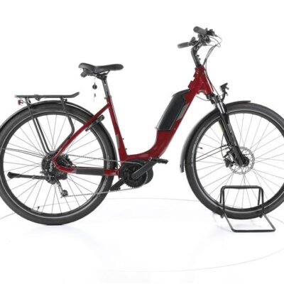 MORRISON E 6.0 Trekking E-Bike Tiefeinsteiger