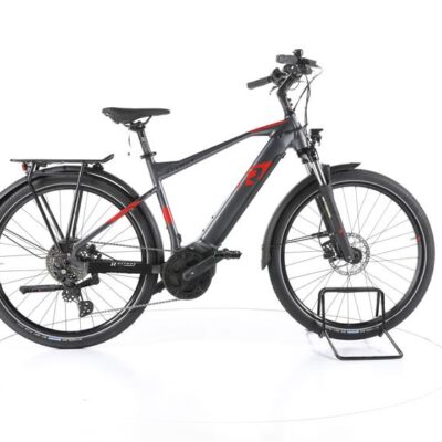 R Raymon TourRay E 6.0 Trekking E-Bike