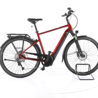 Pegasus Premio Evo 10 Lite Trekking E-Bike
