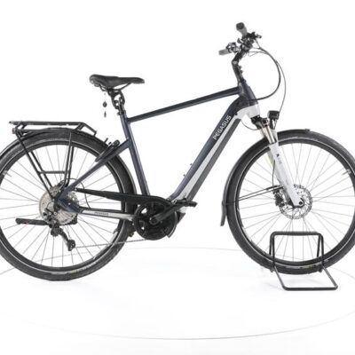 Pegasus Premio Evo 10 Lite Trekking E-Bike
