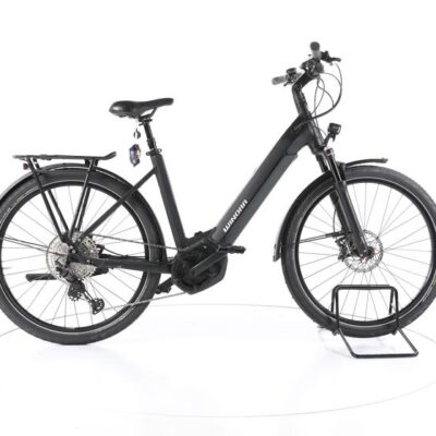 Winora Yucatan 12 Pro Trekking E-Bike Tiefeinsteiger