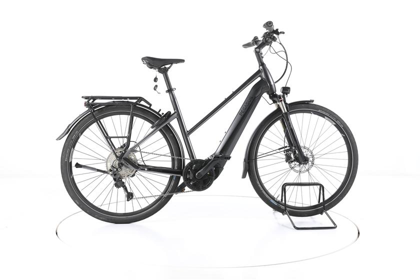 Pegasus Premio EVO 10 Lite Trekking E-Bike