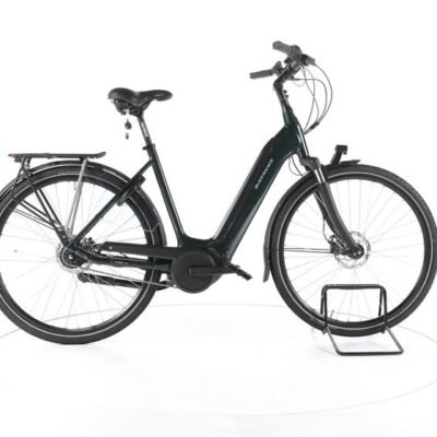 Batavus Finez E-go® Power RT City E-Bike Tiefeinsteiger
