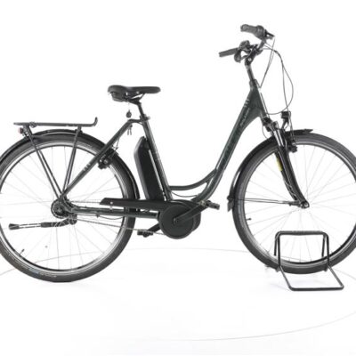 Raleigh Jersey 7 City E-Bike Tiefeinsteiger
