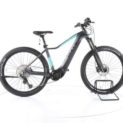 Bulls Aminga EVA 2 E-Bike 2023