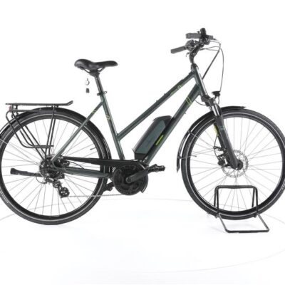 Triumph E-Bird Plus Trekking E-Bike