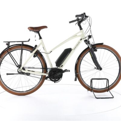 Riese & Müller Cruiser Mixte Silent City E-Bike
