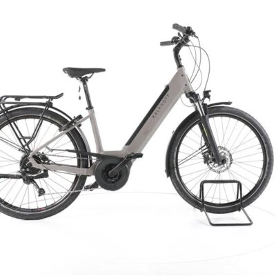 Kalkhoff Entice 3.B Move Trekking E-Bike Tiefeinsteiger 2023