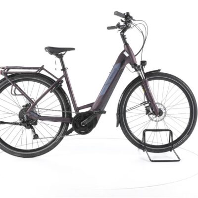 Pegasus Solero Evo 9 Trekking E-Bike Tiefeinsteiger