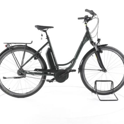Raleigh Jersey 7 City E-Bike Tiefeinsteiger