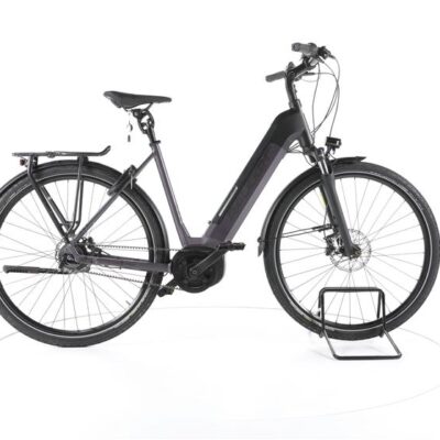 Raleigh Kent Premium City E-Bike Tiefeinsteiger