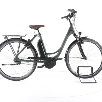 Raleigh Cardiff LB Plus Trekking E-Bike Tiefeinsteiger