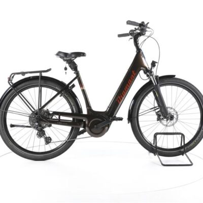 Diamant Mandara 160 Gen 3 Trekking E-Bike Tiefeinsteiger 2023