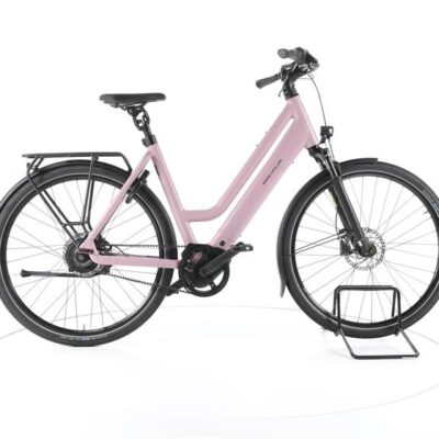 Riese & Müller Culture Mixte vario City E-Bike Tiefeinsteiger 2024