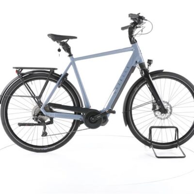 Gazelle Chamonix T10 HMS Trekking E-Bike