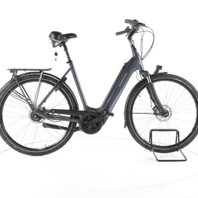 Batavus Finez E-go® Power Exclusive RT City E-Bike Tiefeinsteiger