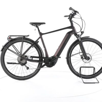 Giant DailyTour E+ 3 Trekking E-Bike