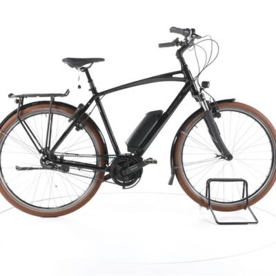 Riese & Müller Swing vario City E-Bike