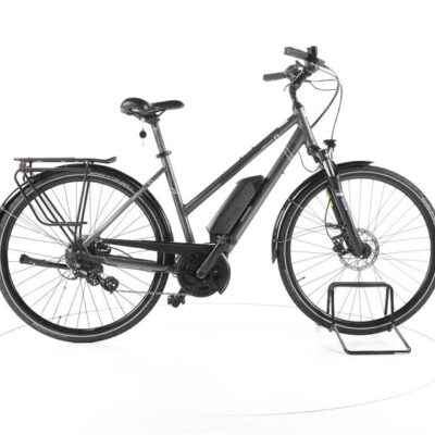 Triumph E-Bird Ultra Trekking E-Bike
