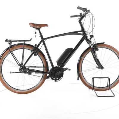 Riese & Müller Cruiser silent City E-Bike
