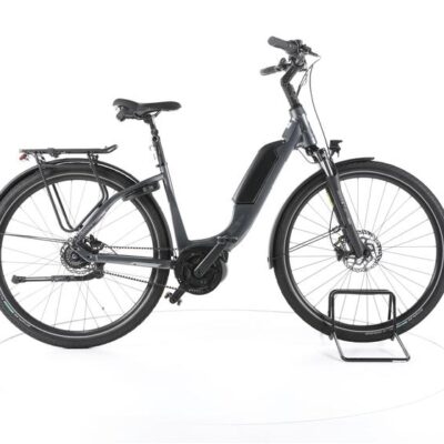 FALTER E 9.3 RT City E-Bike Tiefeinsteiger