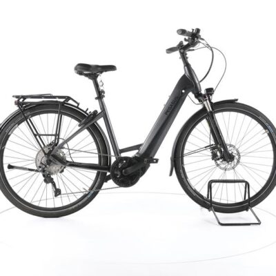 Pegasus Premio EVO 10 Lite Trekking E-Bike Tiefeinsteiger