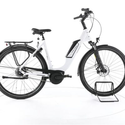 FALTER E 9.0 RT City E-Bike Tiefeinsteiger