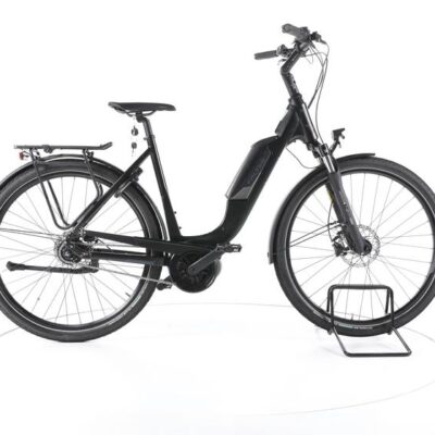 FALTER E 9.0 FL City E-Bike Tiefeinsteiger