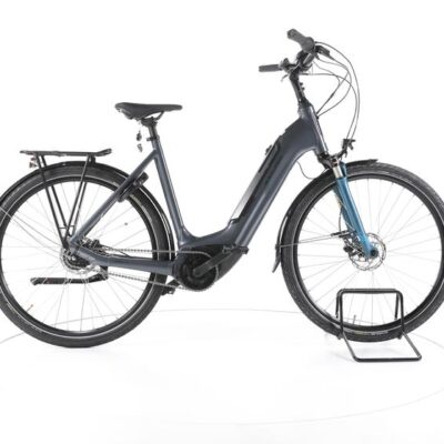 Batavus Altura E-go Power+ City E-Bike Tiefeinsteiger