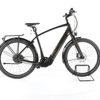 Diamant Opal Esprit+ City E-Bike