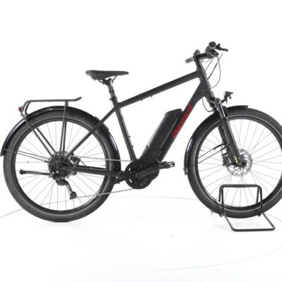 Diamant Zing+ Gen 1 Trekking E-Bike