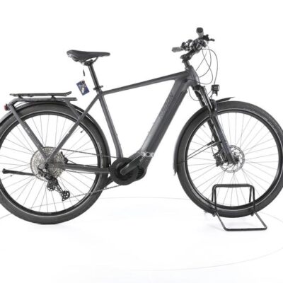 Radon Relate 8.0 Trekking E-Bike
