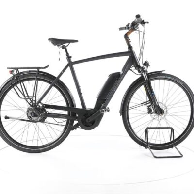 Gudereit EC-5.5 EVO RT City E-Bike